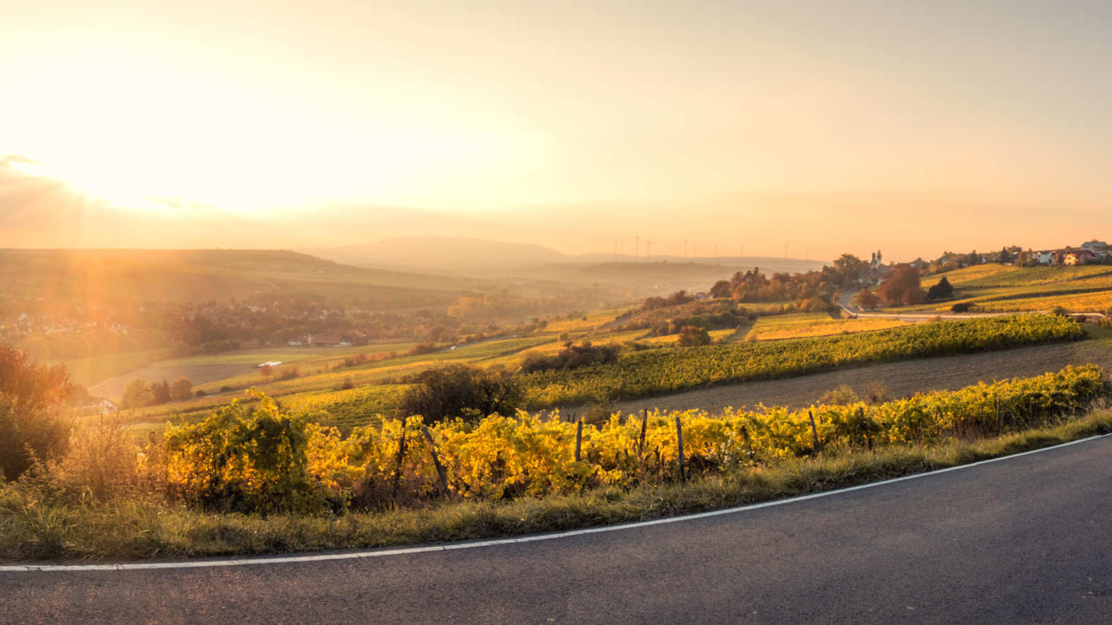 Rhineland-Palatinate Landscape